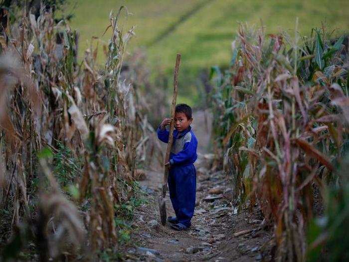 Childhood in North Korea is particularly difficult. Many children in rural areas have to work on farms and much of the country