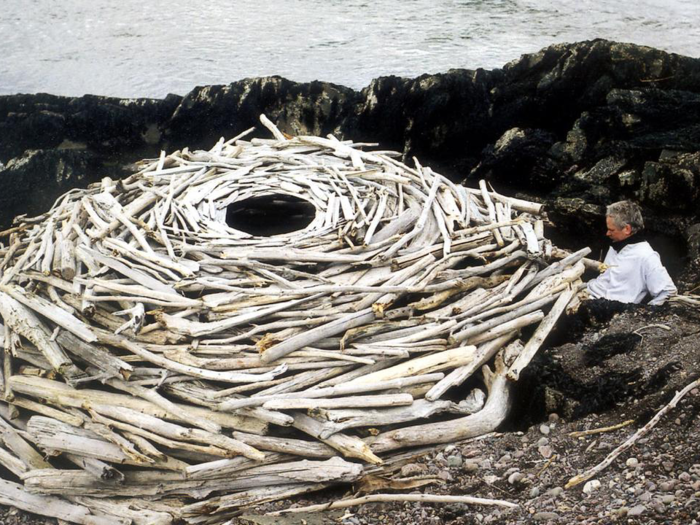 45. "Rivers and Tides: Andy Goldsworthy Working with Time" (2002)