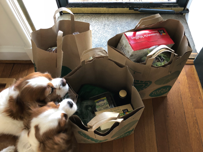 When David arrived, he brought all the groceries to my doorstep.