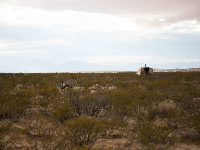 Eventually it meandered away, slowly fading into the sprawling desert landscape — and we never saw it again.