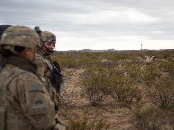 One soldier said that a film crew brought the oryx there to shoot a movie many years ago, and simply left them out in the desert.