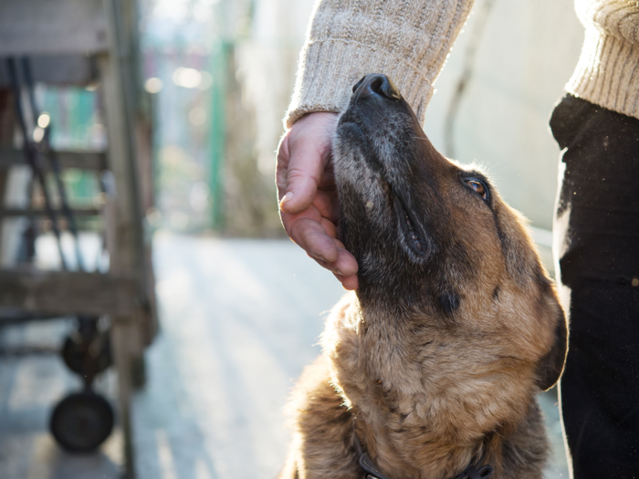 Around the same time, Acton also launched Family Giving, a donor-advised fund at Fidelity Charitable, which supports initiatives with a close connection to Acton and his family such as building empathy in society. Current initiatives include supporting first-person storytelling and promoting compassion for vulnerable animals throughout the world.