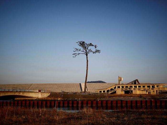 Here, the "Miracle Pine," a tree which is said to symbolize hope and recovery after it survived the 2011 tsunami, stands next to a damaged building in front of the newly built seawall in Rikuzentakata, Iwate Prefecture, Japan.