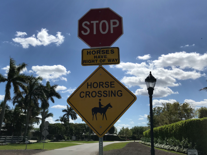 In Wellington, horses literally rule the road.