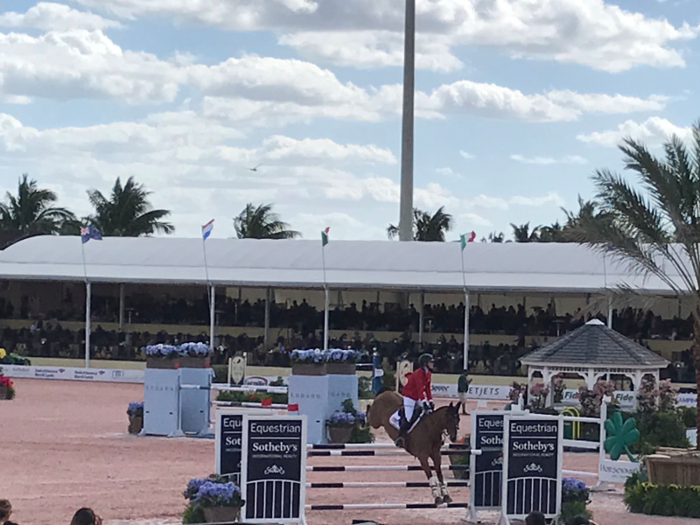 While much of the coverage of Wellington focuses on the children of the rich and famous, many of the top competitors are only well-known to other equestrians.