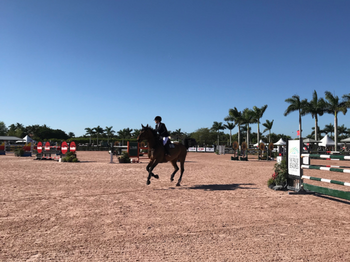 Older riders face off in show jumping, dressage, and hunt seat competitions at all levels.