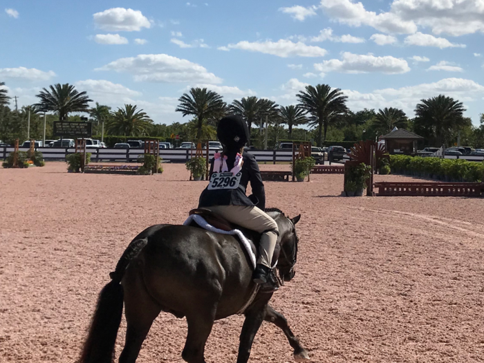 Riders of all ages and abilities, from beginners to Olympians, compete in the 12 show rings.