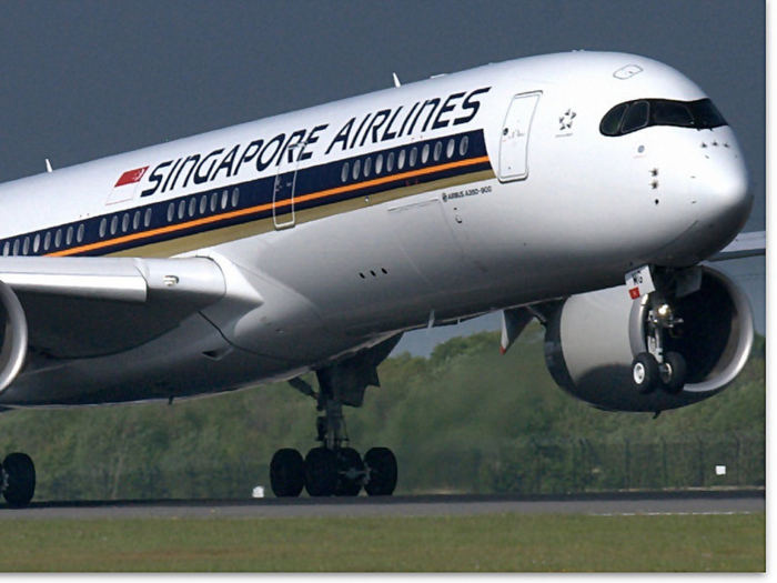 Singapore Airlines, for example, is a transfer partner of Chase, Amex, SPG, and Citi. To book their eight-leg trip, the Millers used 182,000 American Express Membership Rewards Points, about 280,000 Chase Ultimate Rewards Points, and 160,000 SPG Points.