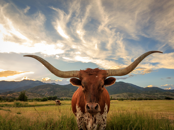 Texas — 16.6%