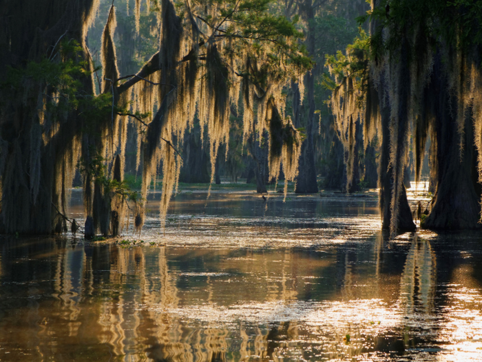 Louisiana — 16.6%