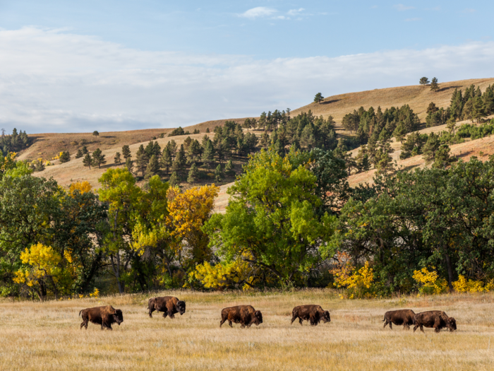 South Dakota — 16.1%