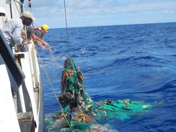 Shockingly, they also estimated that 46% of the plastic mass is from lost fishing nets known as "ghostnets" that drift through the sea, ensnaring creatures and breaking into smaller bits of plastic.