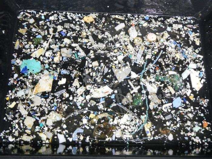 They estimated that 1.7 trillion of the pieces are microplastics, between .05 and .5 cm in size, but that 92% of the total plastic mass comes from larger pieces.