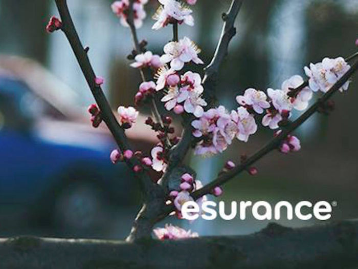 Esurance