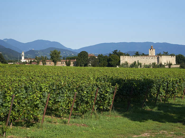 On the way to Lake Garda, travelers make a pit stop at the Franciacorta vineyards, where the famous Franciacorta DOCG, a classic method for making sparkling wine, has been produced since 1961.