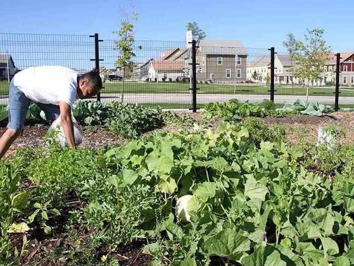 The masterplan also includes a 10,000-square-foot pharmacy, 12,500 square feet of retail and coworking space, a community center, and community gardens.