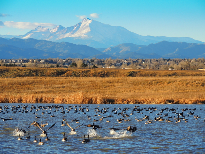 23. Broomfield County, Colorado