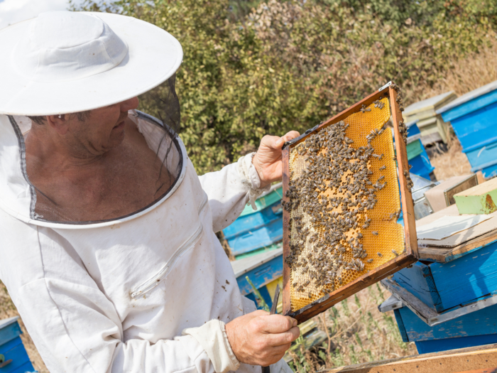 A Costco employee from Ohio was surprised that the store sold beehives. Costco member and Youtuber Sterling W. echoed this sentiment, commenting, "The fact that they sell beehives is pretty cool... I don