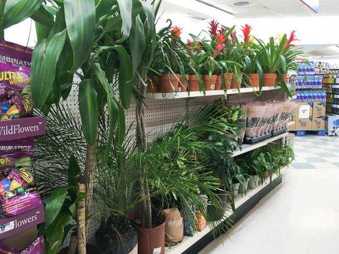 ... a gardening aisle ...