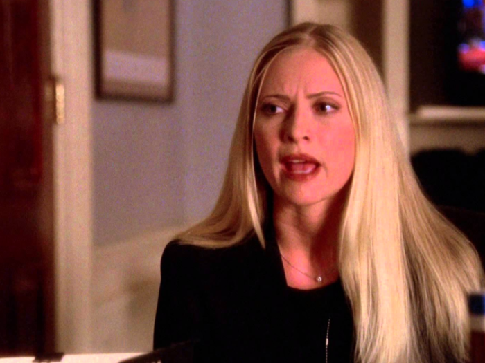 Ainsley Hayes in "The West Wing"