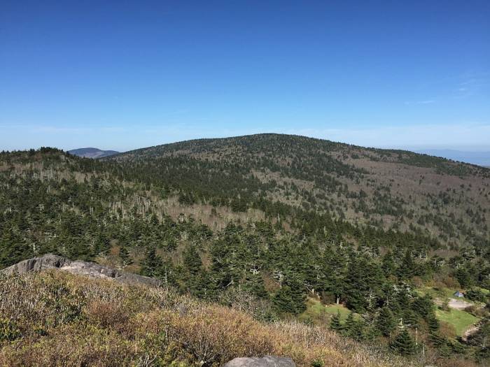 19. Virginia — Mount Rogers, 5,729 feet above sea level