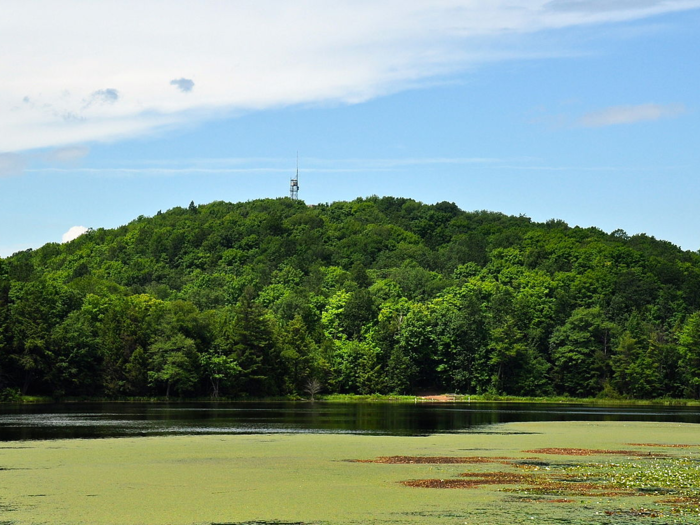 39. Wisconsin — Timms Hill, 1,951 feet above sea level