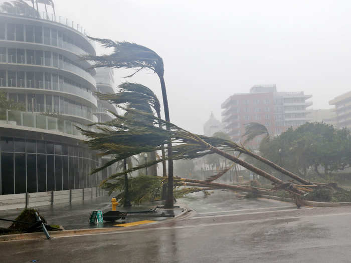 In September 2017, he tried to warn people in Florida about Hurricane Irma, but accidentally tweeted video of wrong storm. The Miami International Airport replied to his tweet noting the error.