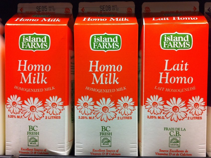 Homo milk: Homogenized milk, also known as whole milk.