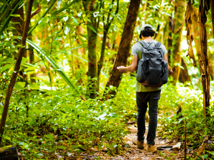 Conservation scientists and foresters