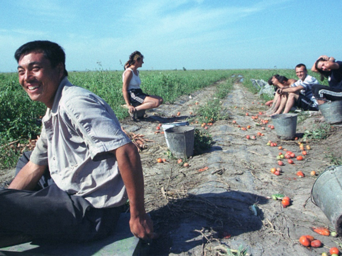 The Chinese company Meicai created an app that connects farmers to restaurants.