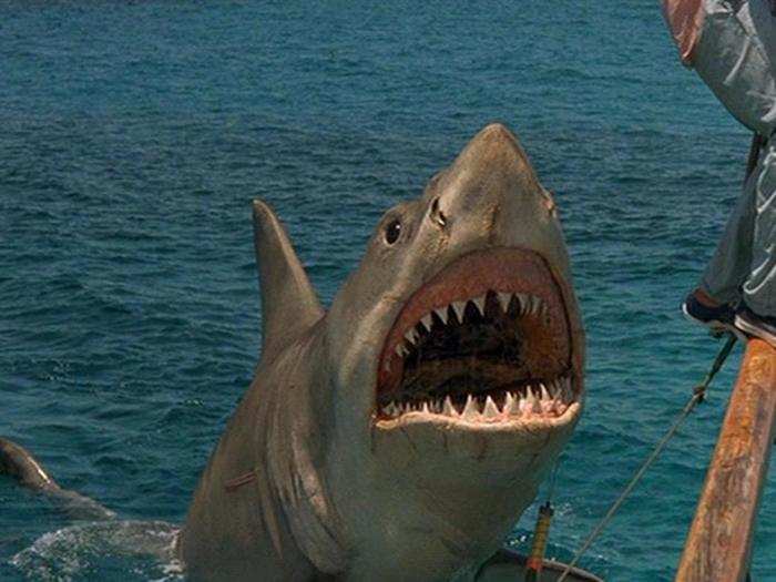 1. "Jaws: The Revenge" (1987)