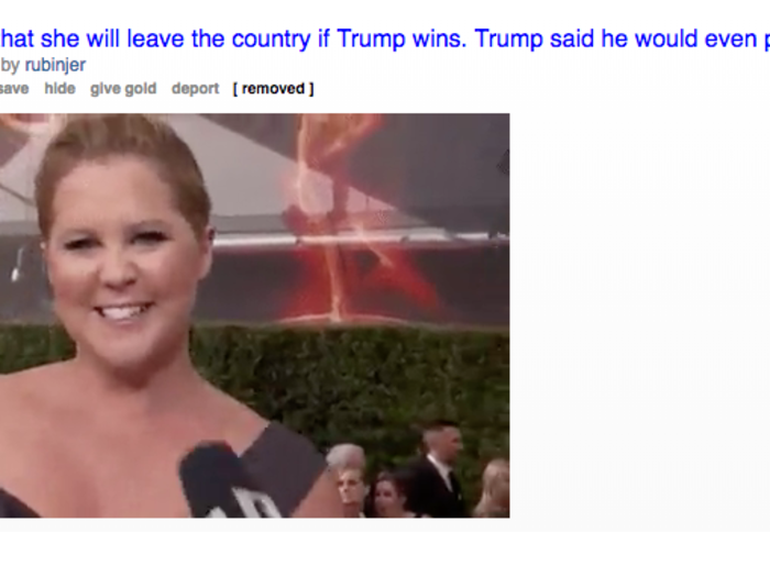 A few celebrities made appearances in a lot of the troll-linked posts. This one decided to take aim at comedian and actress Amy Schumer.