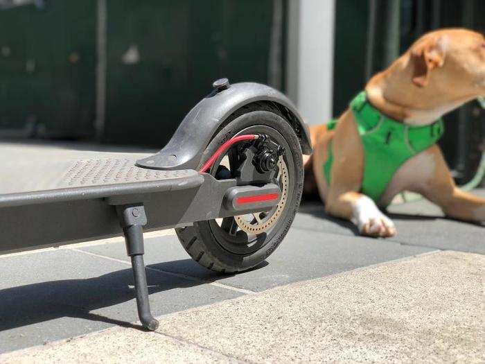 In an active construction area with uneven pavement and loose gravel, the Bird handled the road like it was skating on ice. The extra-wide tires provided a smooth, comfortable ride.