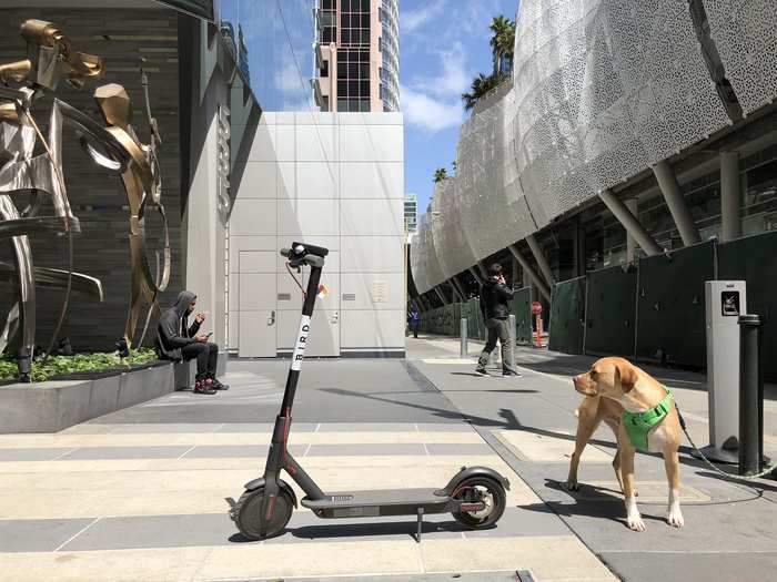 I left my office building in downtown San Francisco and found three scooters (all "Birds") located just outside the entrance.