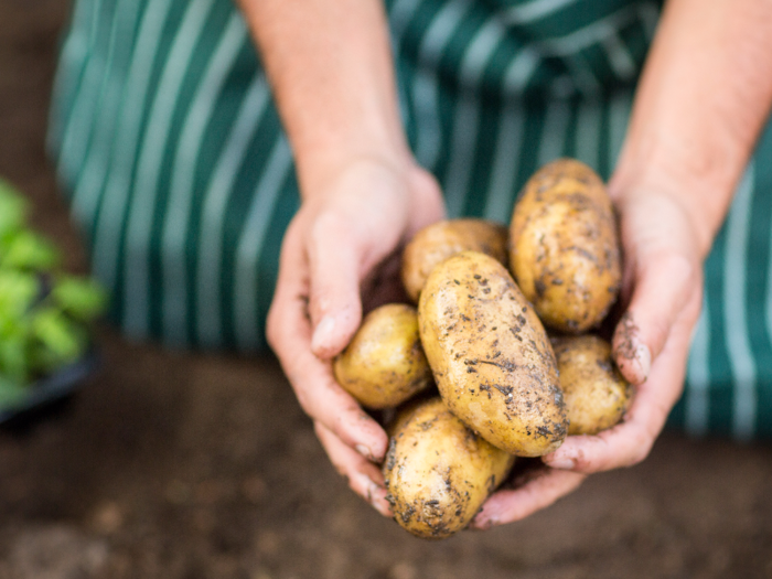 Potatoes