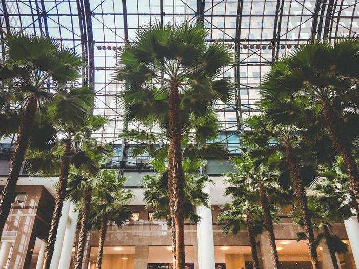 The atrium is surrounded by glass, keeping the space bright and airy.