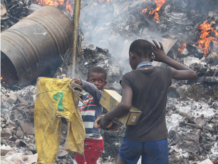 6. Guinea