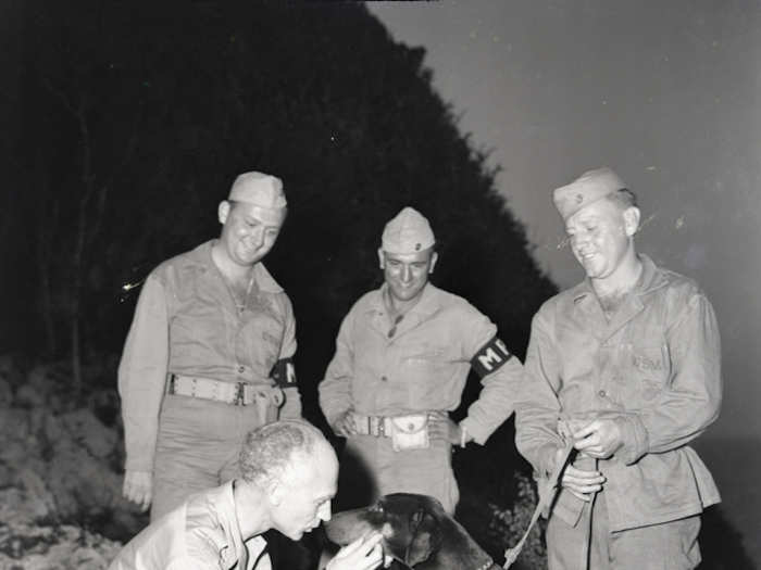 Pyle visits Leathernecks of the 3rd Marine Division, where along with talking to the veterans of the fight on Bougainville and Guam, he observed the famous Marine Corps war dogs for the first time on January 24, 1945.