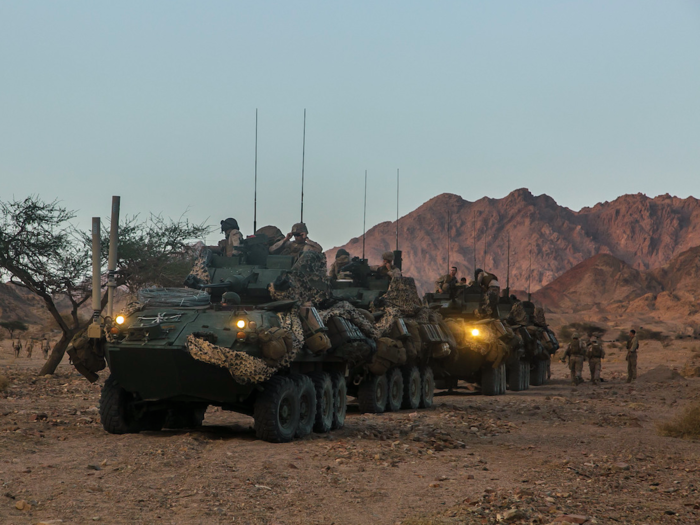 Armored vehicles, like these LAV-25s, were given a chance to hit the desert and see how they would perform.