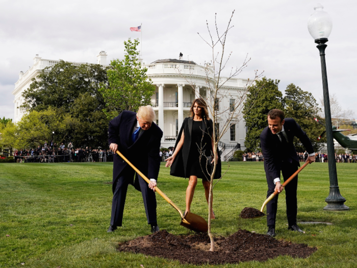 Trump and Macron planted Macron