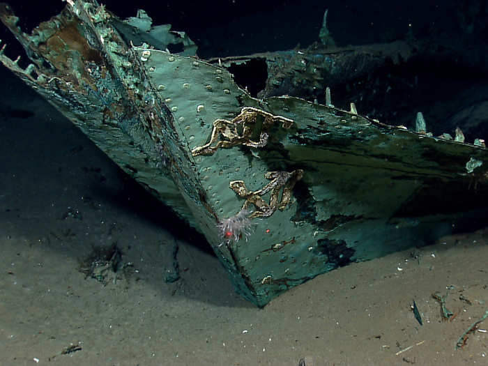 Archaeologists believe this unidentified wreck, first discovered in 2012 and visited again in 2018, was a privateer ship under the employ of a Latin American country seeking independence from Spain in the early 19th century.