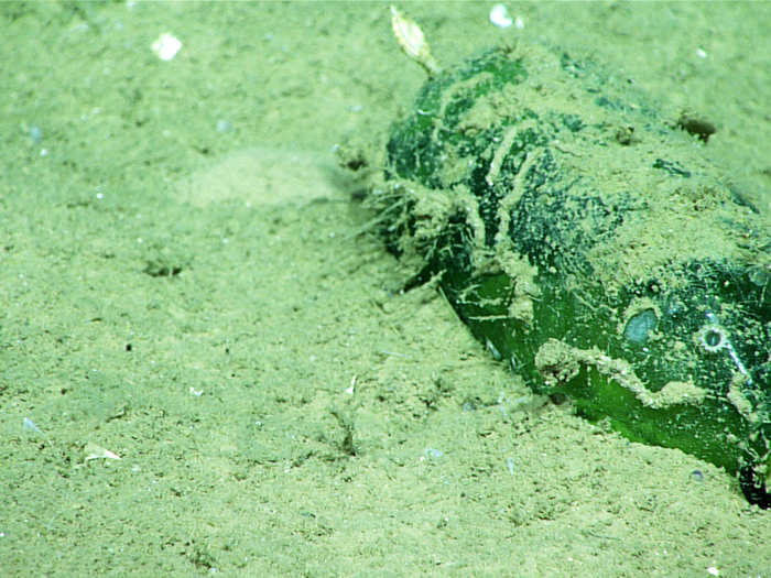 The researchers also found a glass bottle by the shipwreck, though it