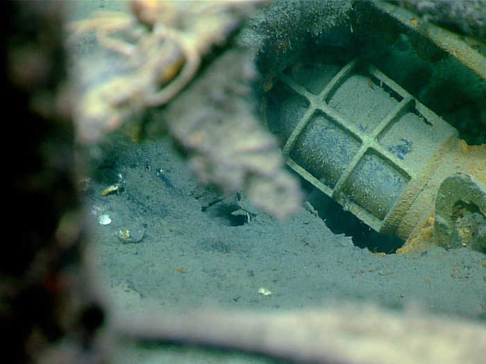 Shipwrecks can also be a goldmine for archaeologists seeking to understand a certain time period. Here