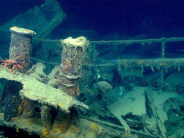 Shipwrecks can often be a cornucopia of marine life. Here, a deepwater red crab sits on the tug. These crabs are a commercially harvested species.