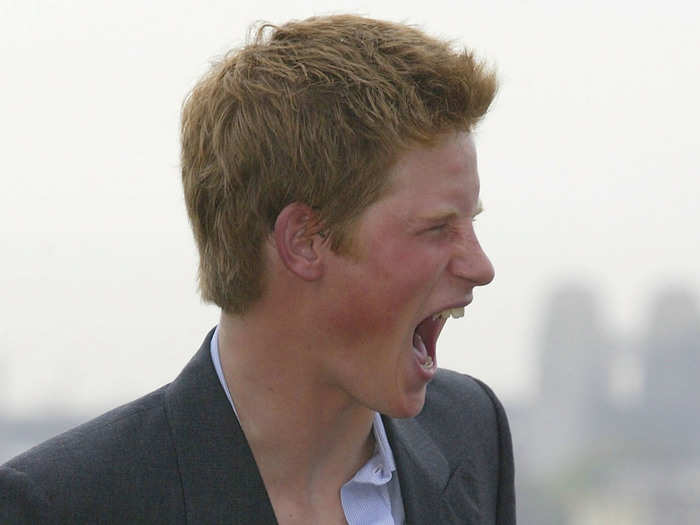 AGE 19: Prince Harry holds an Echidna called 