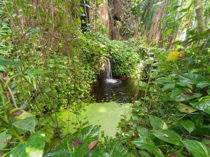 Many of the crew sought out the rainforest