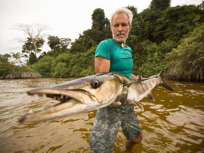 The barracuda can grow over 6 feet long and weigh over 100 pounds.