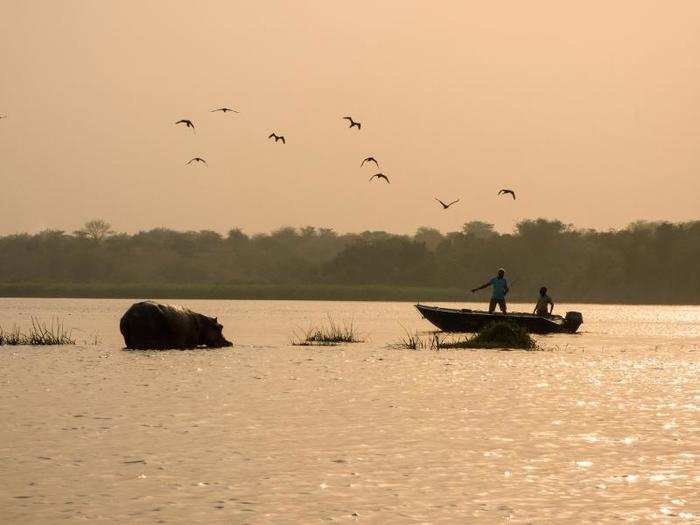 When fishing on the Victoria River, hippos are actually more of a threat to humans than crocodiles, Coetzee said.