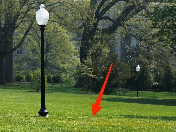 A tree from French President Emmanuel Macron seemed to disappear days after he and Trump planted it. The French ambassador to the US revealed that the tree was merely under quarantine since it