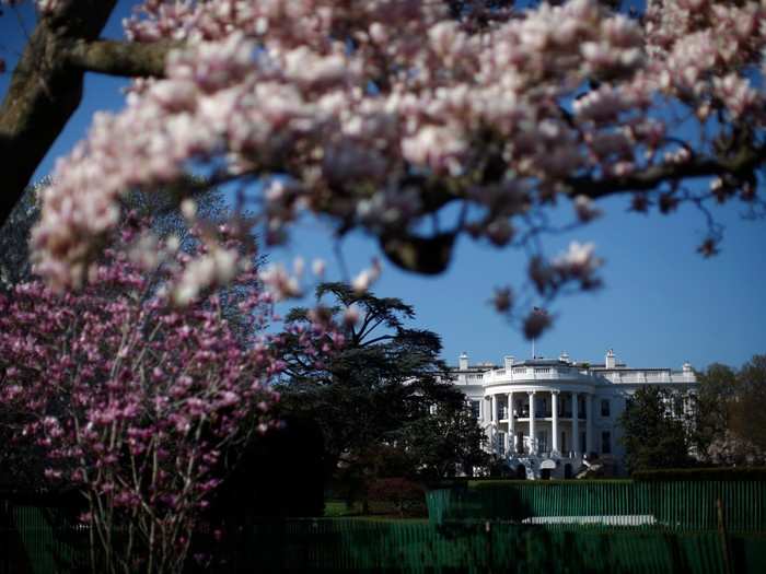 Former president Thomas Jefferson first made the grounds suitable for planting trees and flowers, and around 17 administrations have planted trees that stand today all around the grounds.